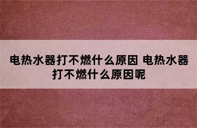 电热水器打不燃什么原因 电热水器打不燃什么原因呢